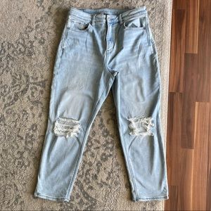 American Eagle Stretch Mom Jean